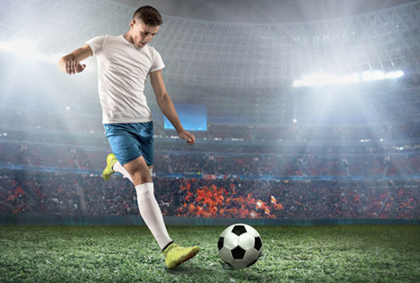 cricket betting id ReddyGro777